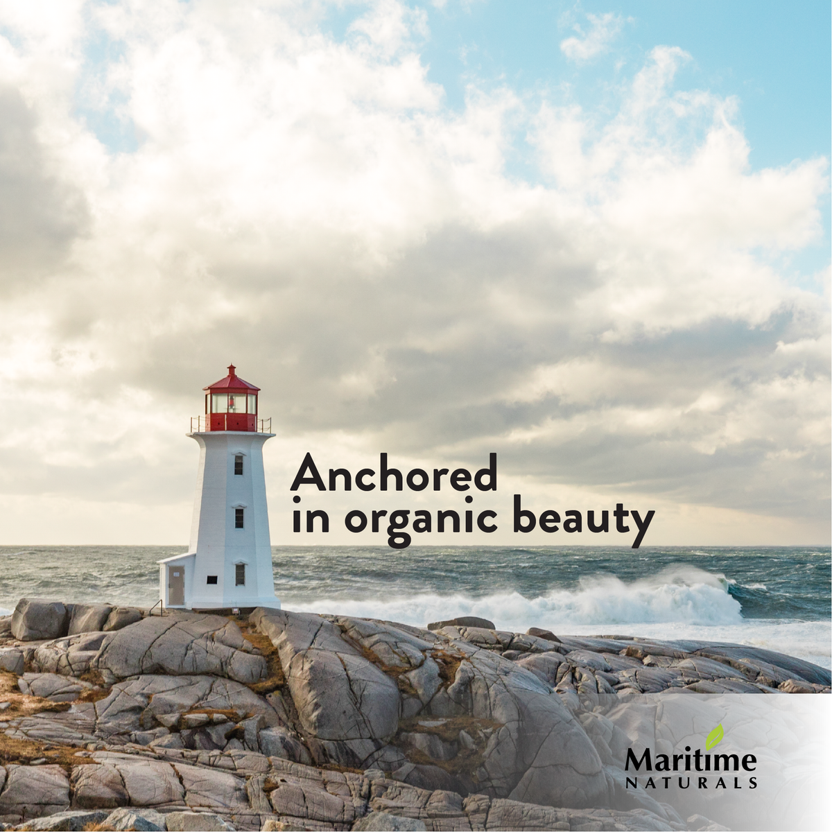 Maritime Naturals Collagen moisturizer for face natural skincare from canada benefits